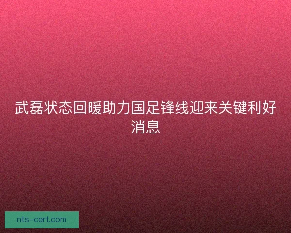 武磊状态回暖助力国足锋线迎来关键利好消息