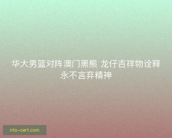 华大男篮对阵澳门黑熊 龙仔吉祥物诠释永不言弃精神 华大男篮对阵澳门黑熊 龙仔吉祥物诠释永不言弃精神