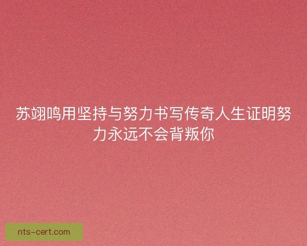 苏翊鸣用坚持与努力书写传奇人生证明努力永远不会背叛你 苏翊鸣用坚持与努力书写传奇人生证明努力永远不会背叛你